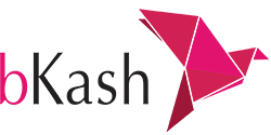 bkash logo